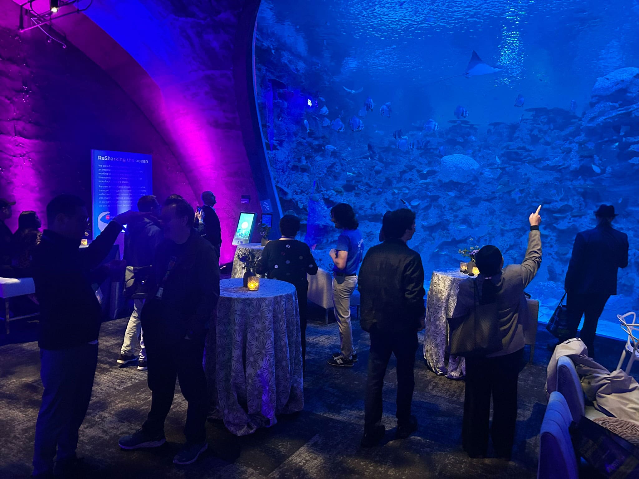 NWES Aquarium Event